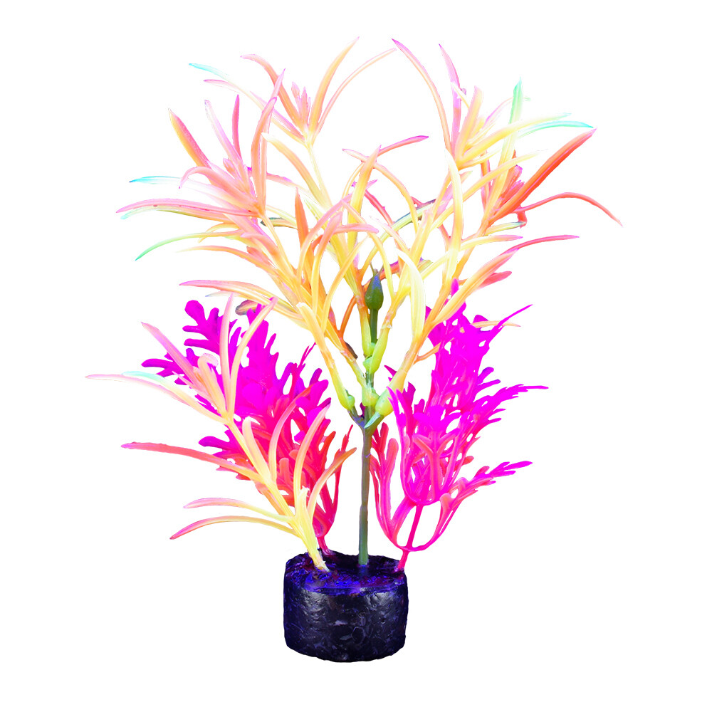 Marina - iGlo Plant 7.5&quot; (2)