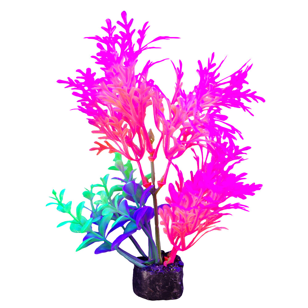 Marina - iGlo Plant 5.5&quot; (1)
