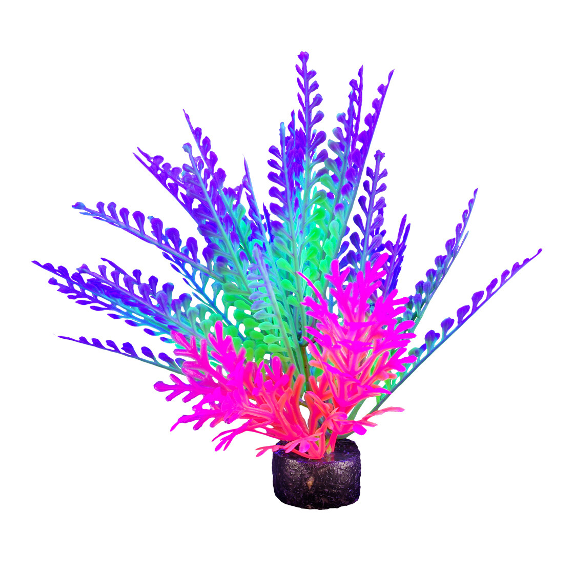 Marina - iGlo Plant 5.5&quot; (6)