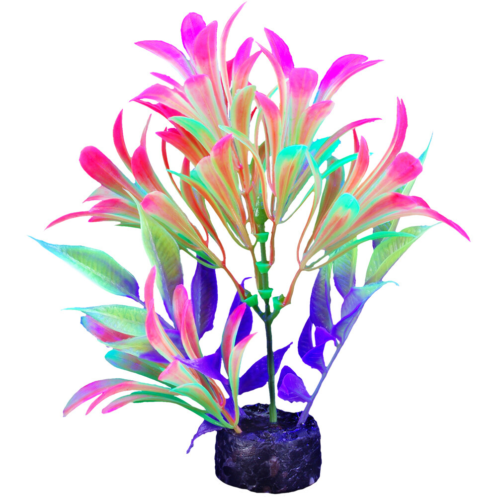 Marina - iGlo Plant 5.5&quot; (2)