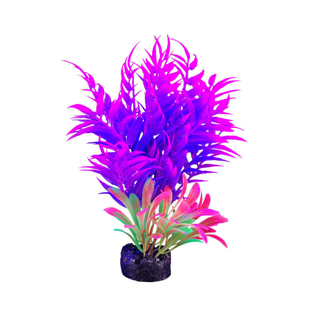 Marina - iGlo Plant 5.5&quot; (7)