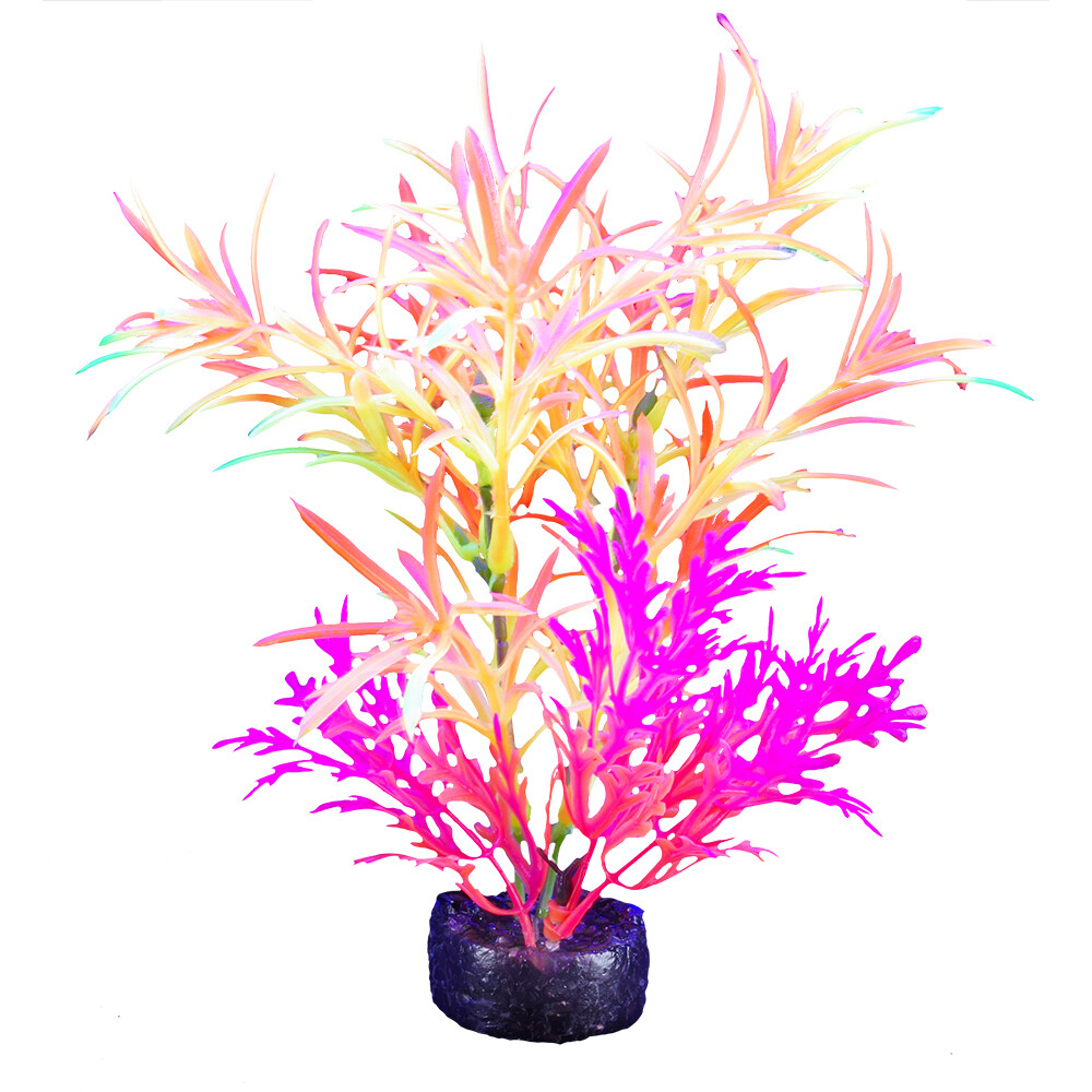 Marina - iGlo Plant 5.5&quot; (5)