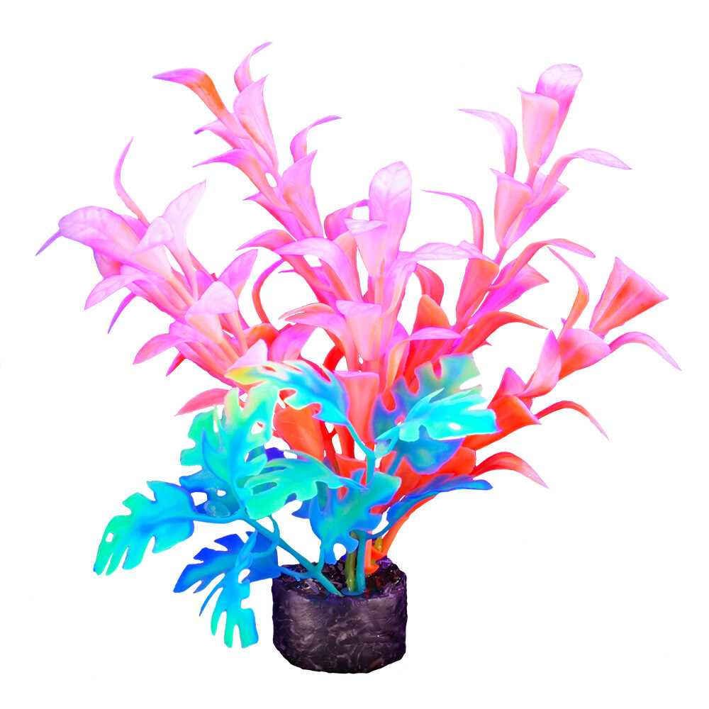 Marina-  iGlo Plant 5.5&quot; (4)