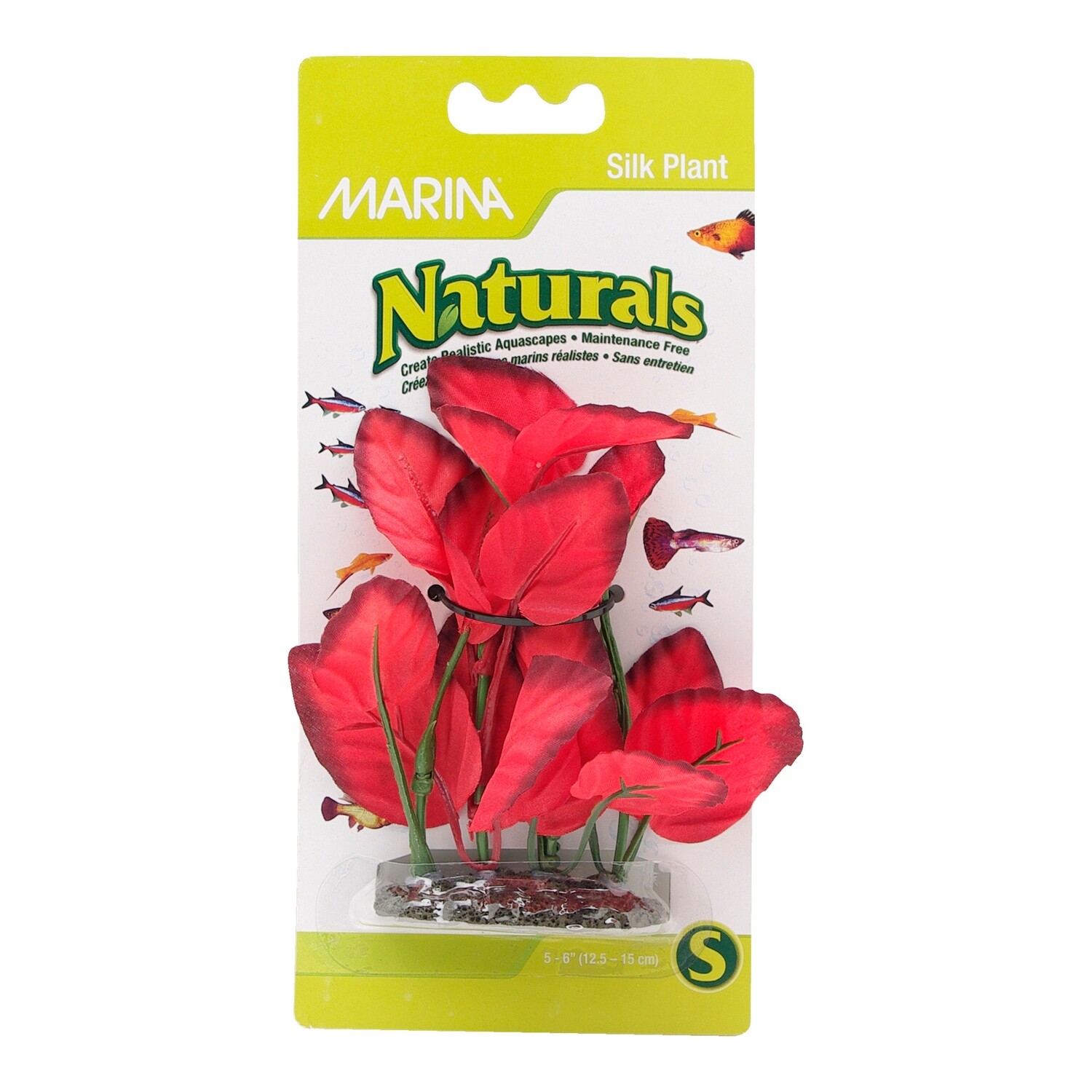 Marina Naturals - Red Foreground Silk Plant 5-6 in