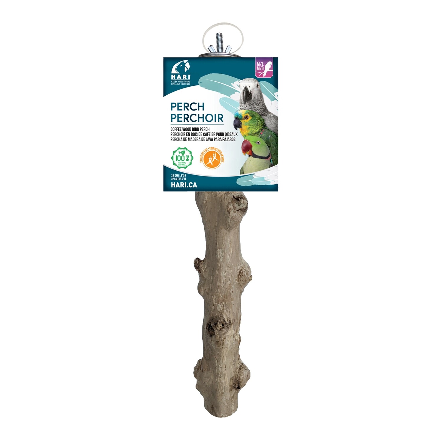 HARI Coffee Wood Bird Perch, Suitable for Medium - Large sized parrots