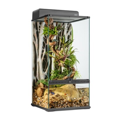 Exo Terra - Advanced Paludarium &amp; Rainforest Terrarium - Small X-Tall - 45 W x 45 D x 90 H cm (18â€ x 18â€ x 36â€)