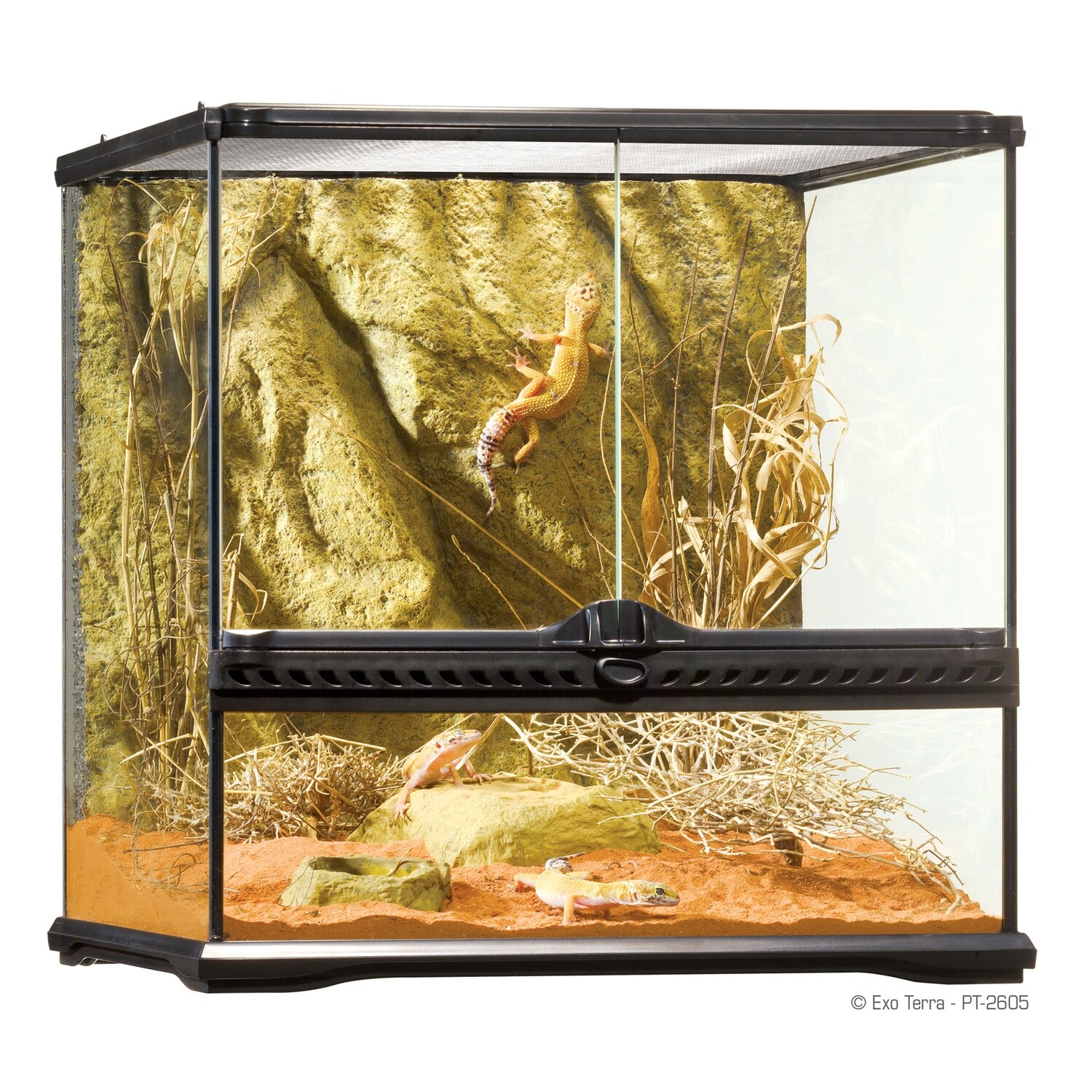 Exo Terra - All Glass Terrarium 18x18x18