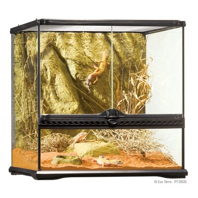 Exo Terra - All Glass Terrarium 18x18x18
