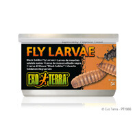 Exo Terra - Canned Black Solider Fly Larvae - 34 g (1.2 oz)