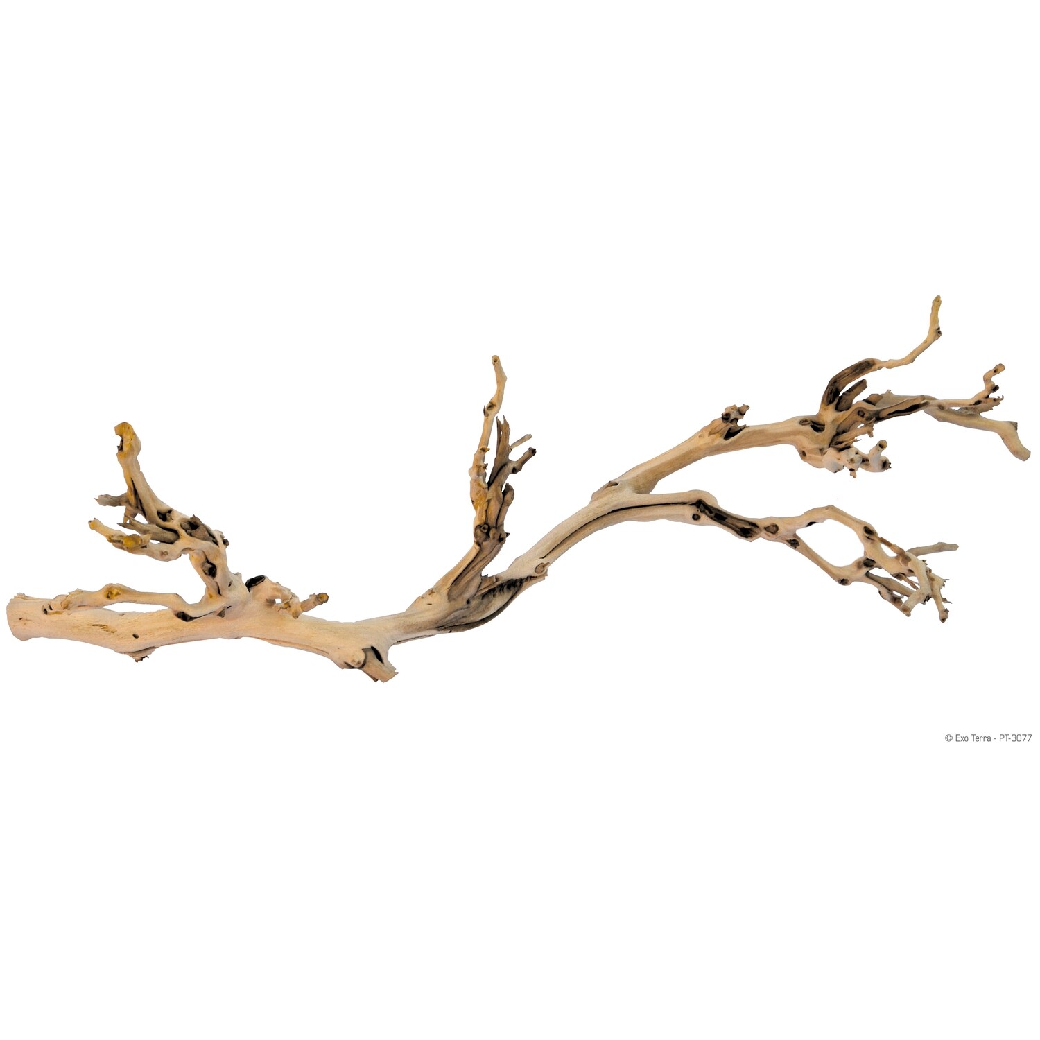 Exo Terra  - Forest Branch - Sandblasted Grapevine - Large