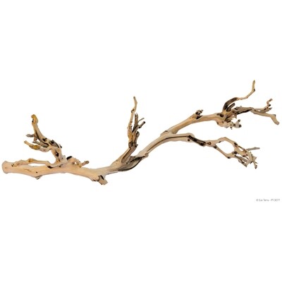 Exo Terra  - Forest Branch - Sandblasted Grapevine - Large