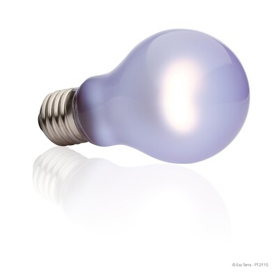 Exo Terra - Daytime Heat Lamp - A19 / 60W