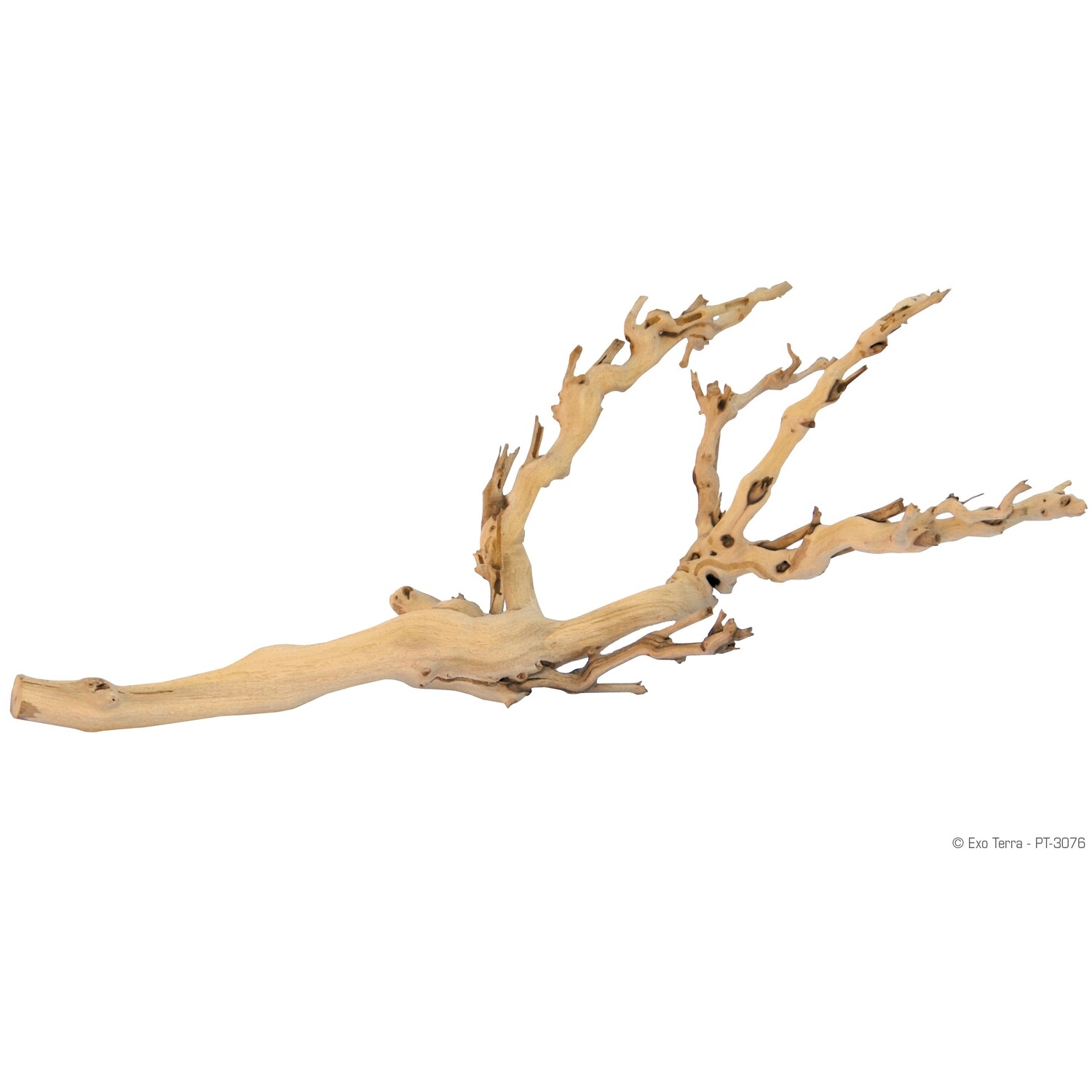 Exo Terra  - Forest Branch - Sandblasted Grapevine - Medium