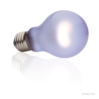 Exo Terra - Daytime Heat Lamp - A19 / 100W