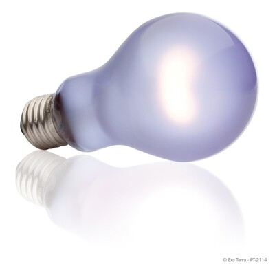 Exo Terra - Daytime Heat Lamp - A21 / 150W