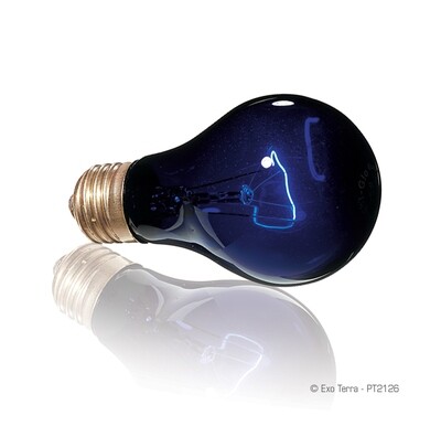 Exo Terra - Night Heat Lamp - A19 / 50W