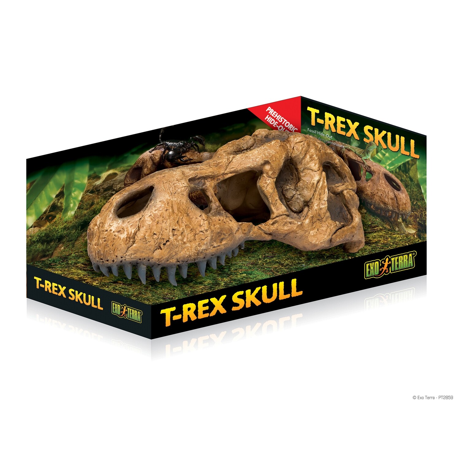 Exo Terra  - T-Rex Skull Fossil Hide Out