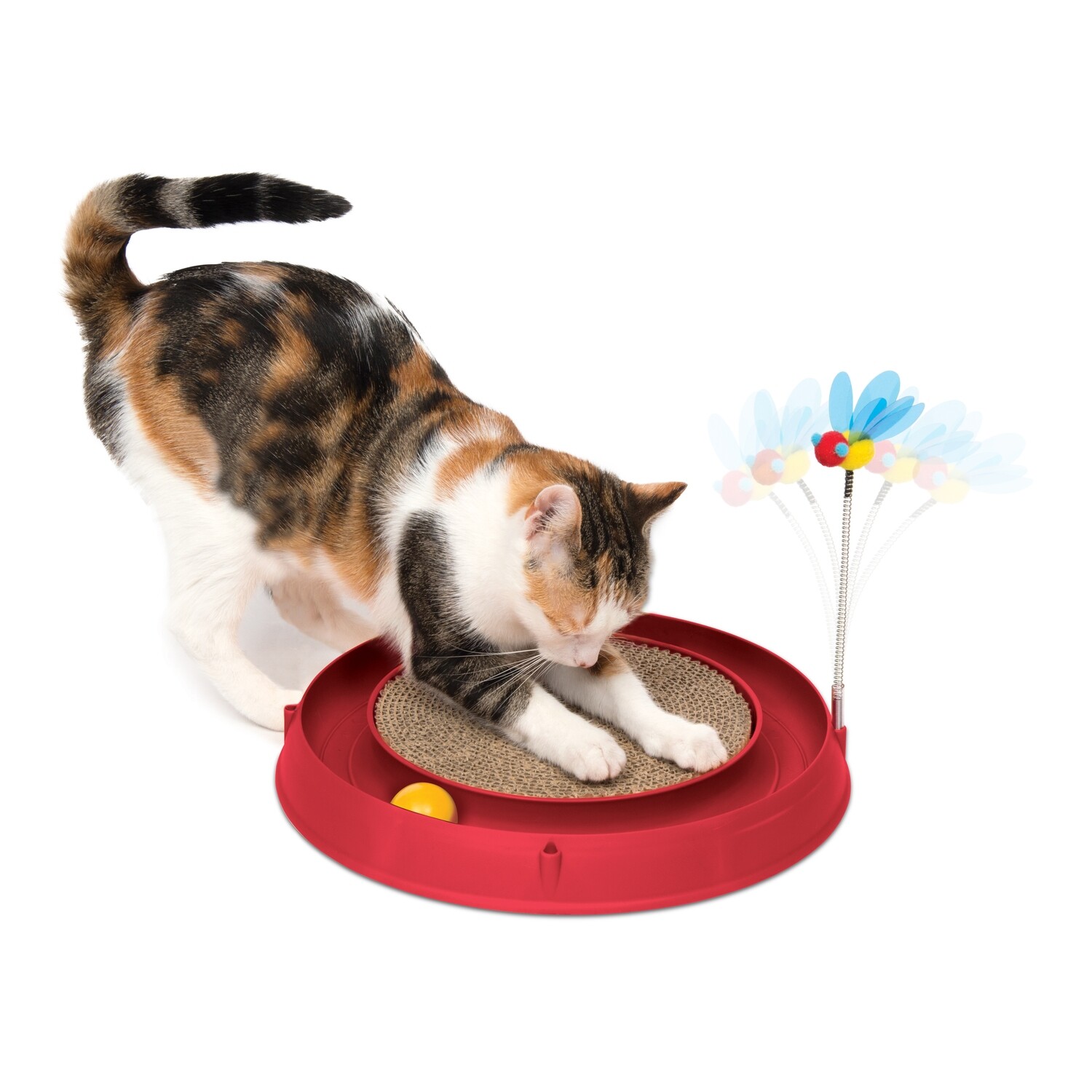 Catit Play Scratch Pad  Bee  and ball