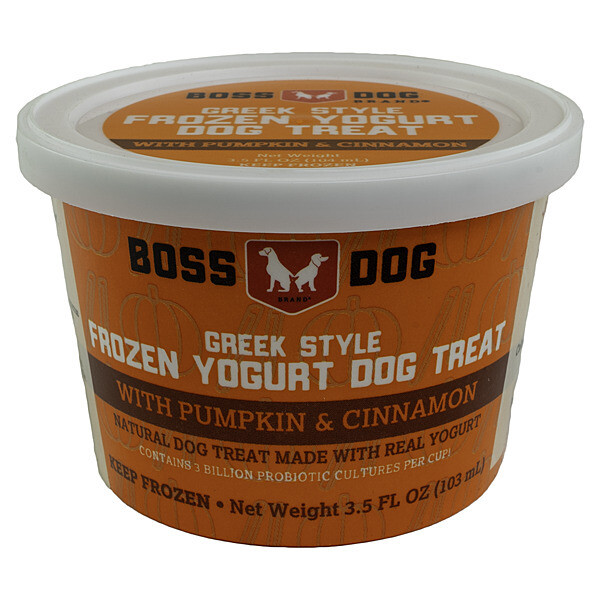 Frozen - Yogurt Pumpkin &amp; Cinnamon 12/104ML