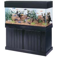 Aqueon - Pine Stand Black 48 x 18 inch 75E 90