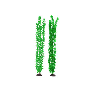 Aqua-Plants - 24 inch 2 Pack Green