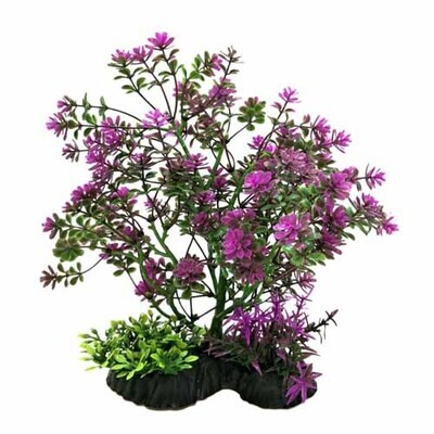 Bonsai Plant Purple 7-8"