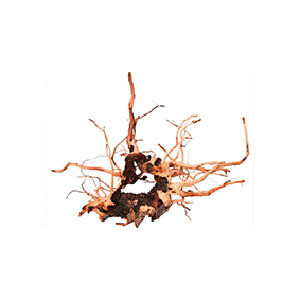 Aquaglobe - Spider Wood Small
