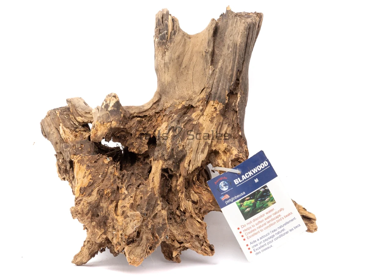 Aquaglobe Small Blackwood