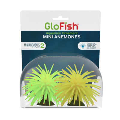 GloFish Anemone Mini Yellow/ Green 2pk