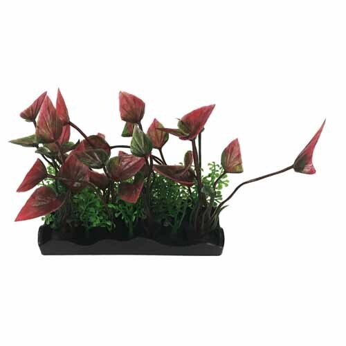 Penn Plax Aqua Plant Medium 4.5in Long x 4-5in Tall Green and Purple Bunch Plant
