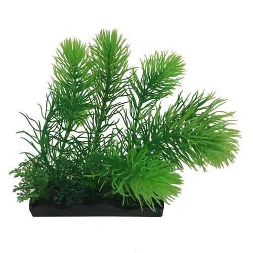 Penn Plax Aqua Plant Large 4.5in Long x 5-6in Tall Watersprite Bunch Plant