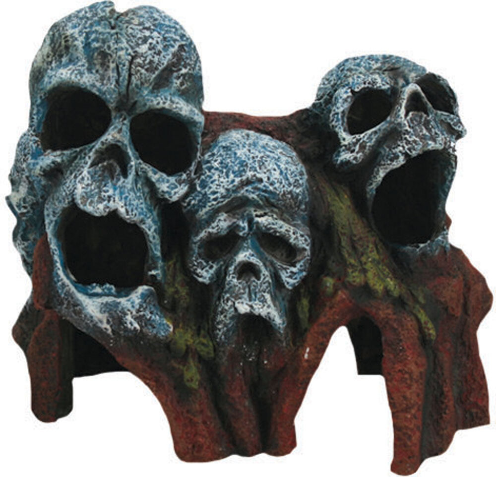 Polyresin Tree Root Skulls 7x4x6in