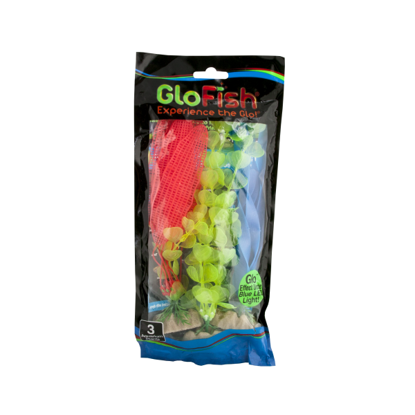 DSC - Tetra - GloFish Plant MD Yellow Lg Orange Lg Blue