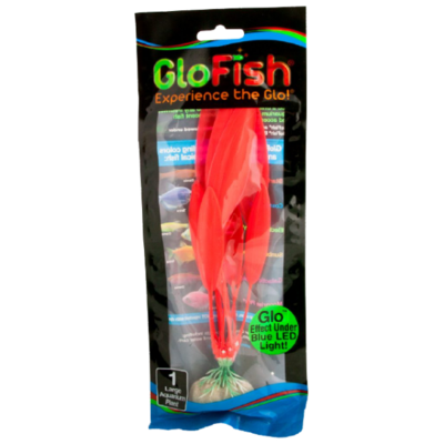 Tetra - GloFish Plant Large Orange