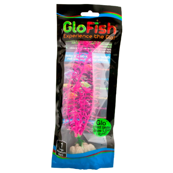 Tetra - GloFish Plant Large Pink