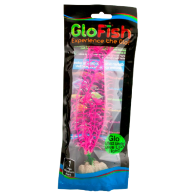 Tetra - GloFish Plant Large Pink