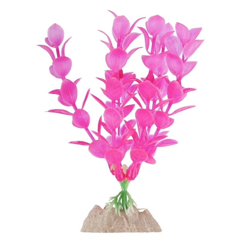 Tetra - GloFish Plant Medium Pink