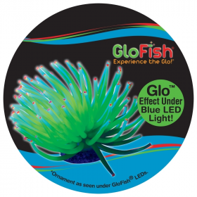 Tetra GloFish Ornament Yellow Anemone