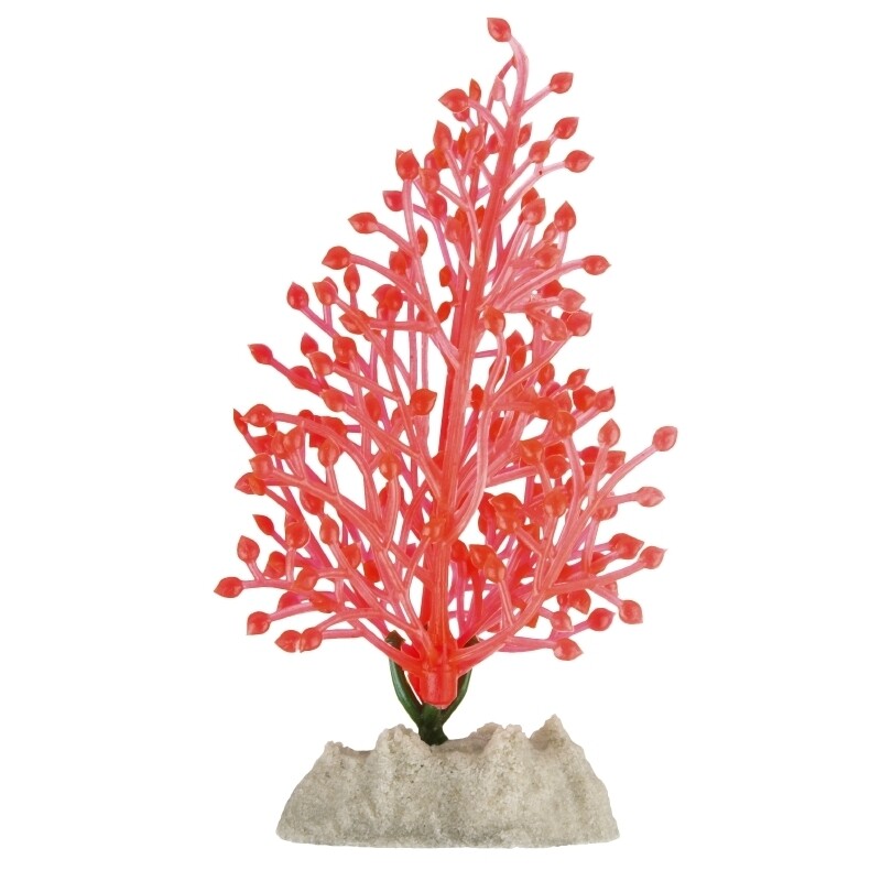 Tetra - GloFish Plant Small Orange