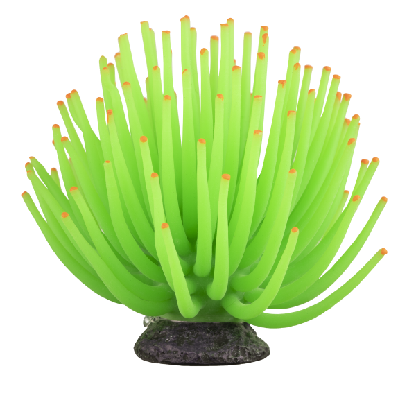 Tetra GloFish Anemone Large Green