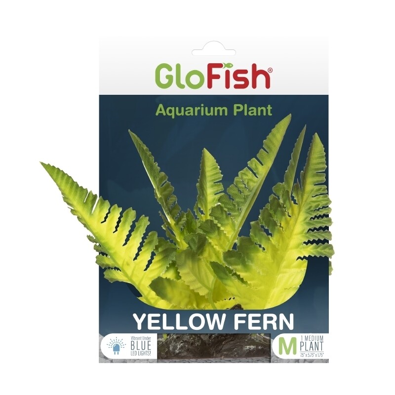 Tetra - Glofish Plant Yellow Fern