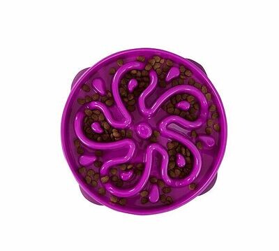Fun Feeder Flower Purple
