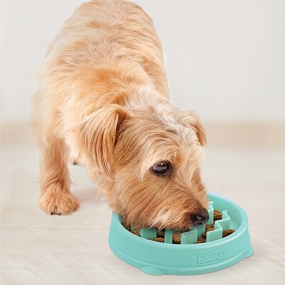 Fun Feeder Slo-Bowl Mint Tiny | 3/4 Cup