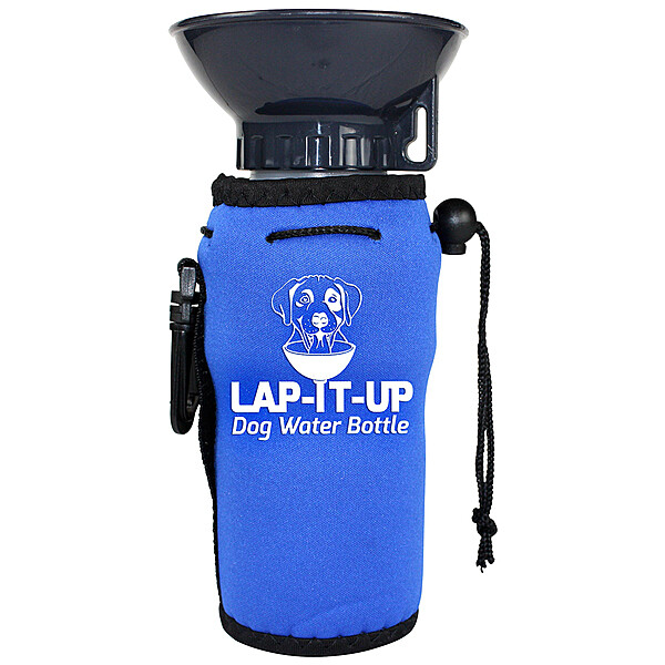 Lap-It-Up Water Bottle Blue 20oz