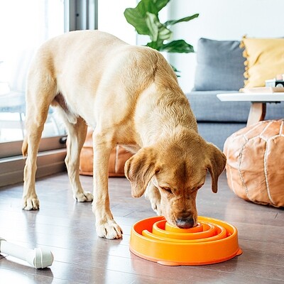 OUTWARD HOUND | Fun Feeder Coral Orange