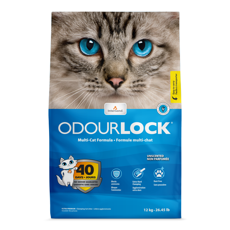 INTERSAND Odourlock Litter - Unscented 12kg