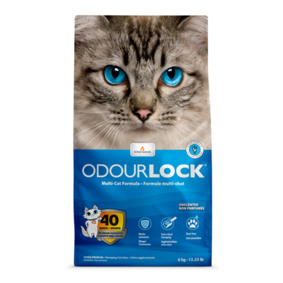 INTERSAND Odourlock Litter - Unscented 6kg