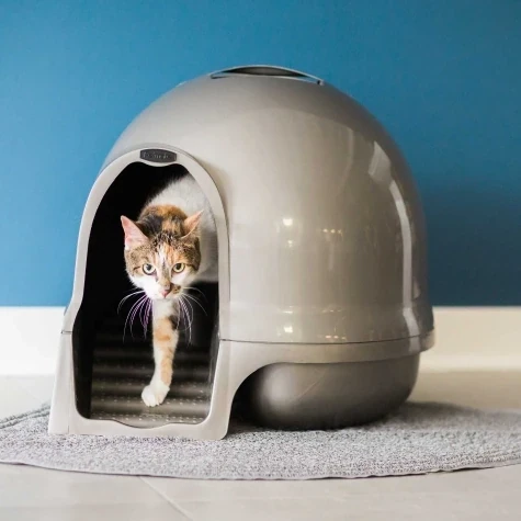 Petmate Booda Cleanstep Titan