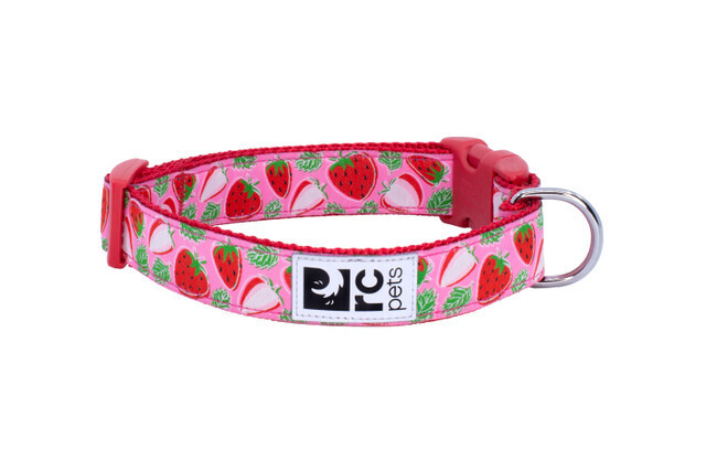 Clip Collar Strawberries Medium