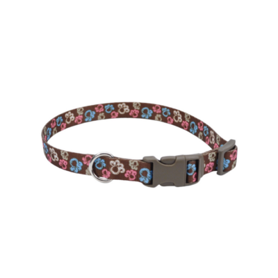 Pet Attire Adj Collar 3/4x20" Special Paws